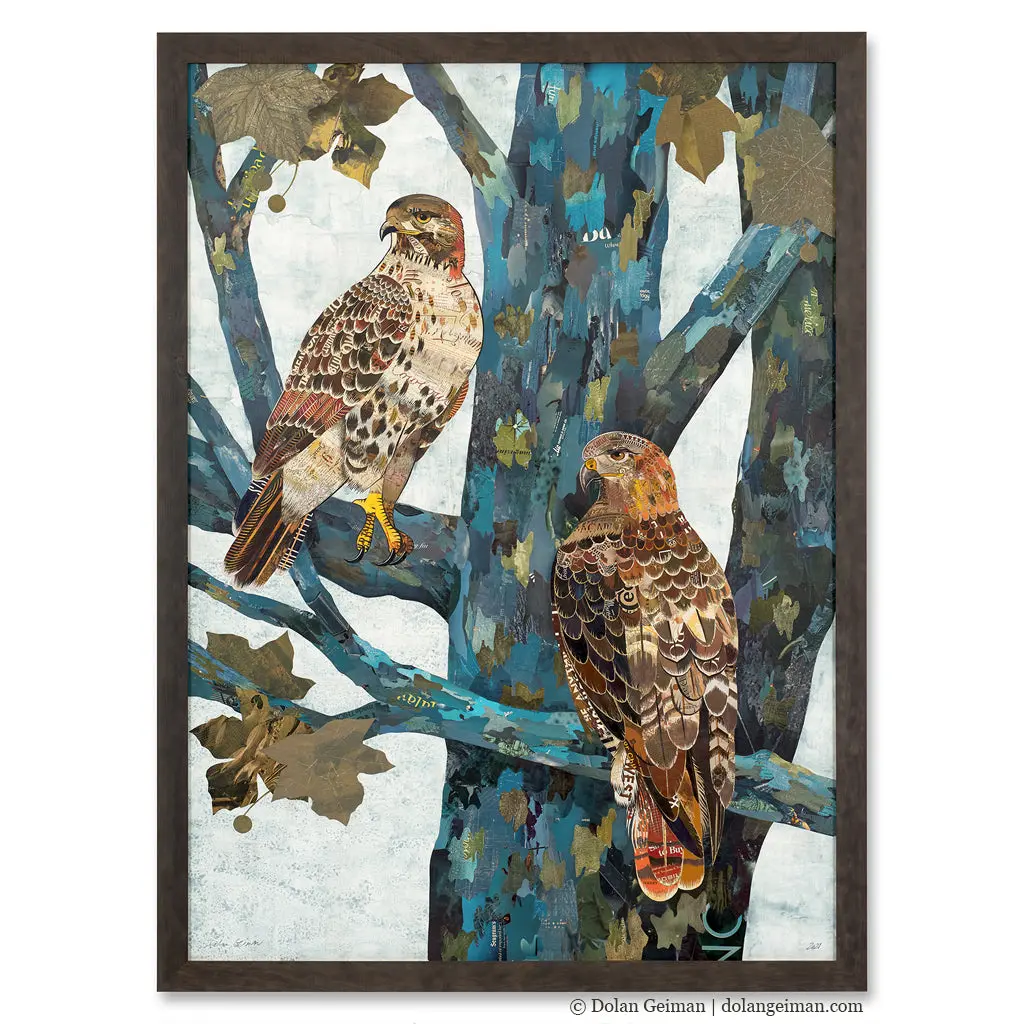Custom Red-Tailed Hawks Original Paper Collage 1