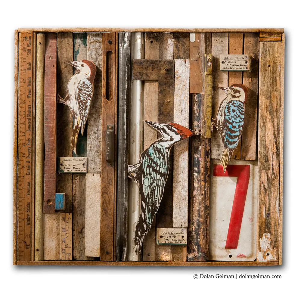 Rescued Wood Construction (Woodpecker) Original Mixed Media Wall Art 1