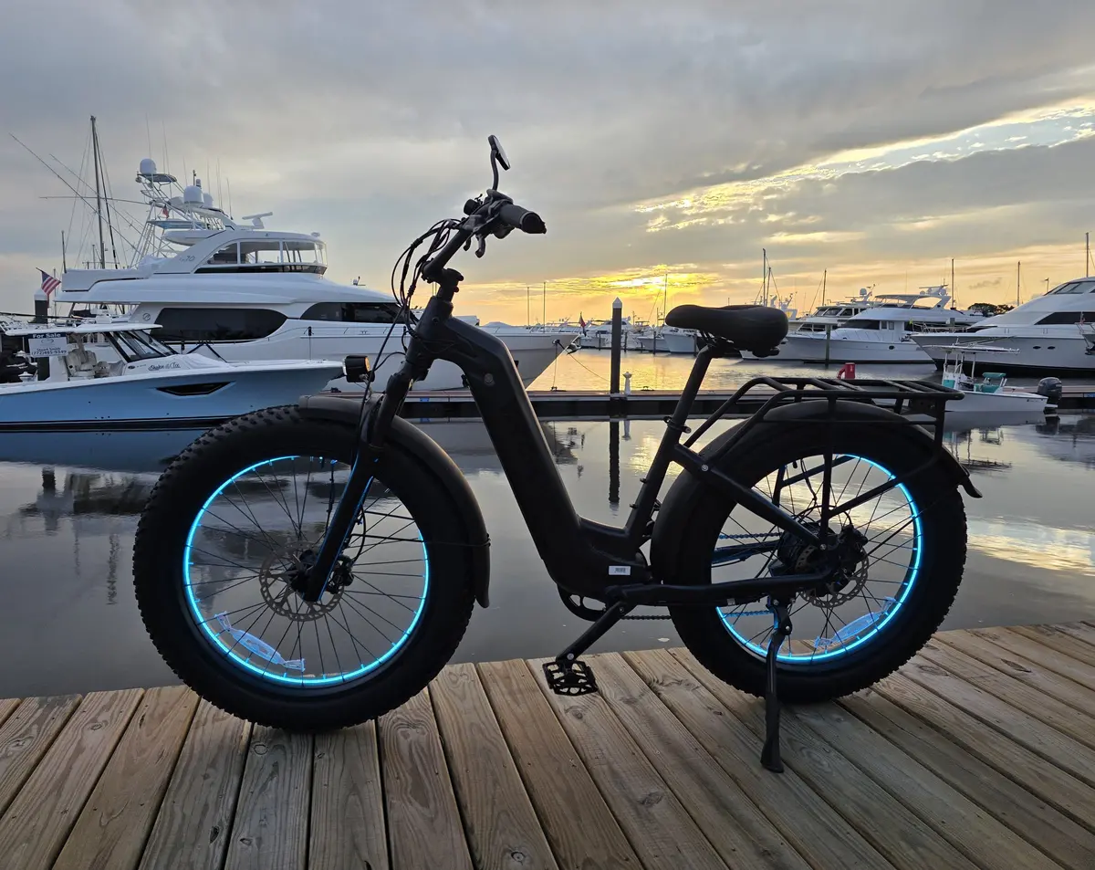 Double Strip Ebike Wheel Lights 1