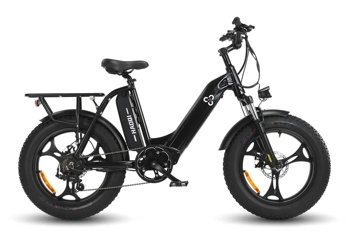 Haoqi Antelope Cargo Electric Bike 1