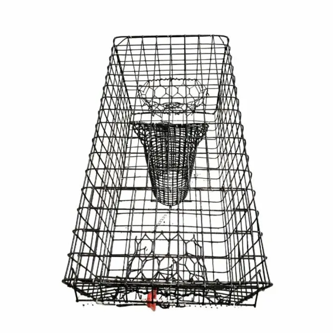 Barretts Run - Quarter Size Crab Trap 1
