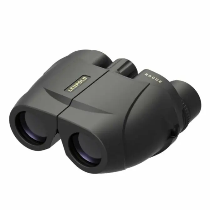 Leupold - Bx-1 Rouge 10X25 Compact 1